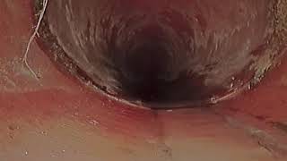 VIDEO522