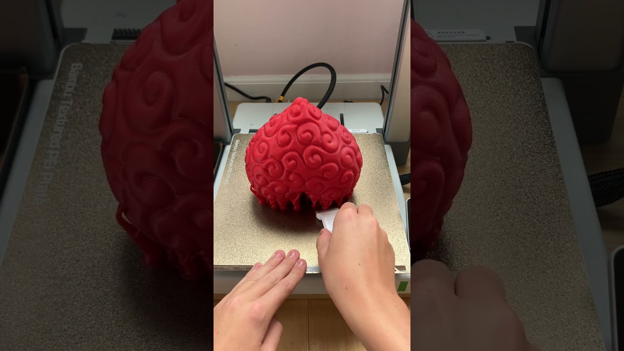 Ope ope no mi devil fruit! 