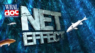 Are Some Commercial Fishing Practices Depleting Fish Stocks?  'Net Effect'  A WRAL Documentary