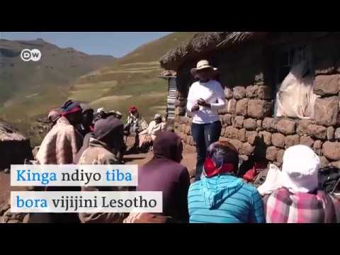 Video: Michikichi ya Madagaska - Huduma ya Ndani kwa Mimea ya Michikichi ya Madagaska