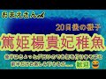 篤姫楊貴妃稚魚の様子とグロ(笑)