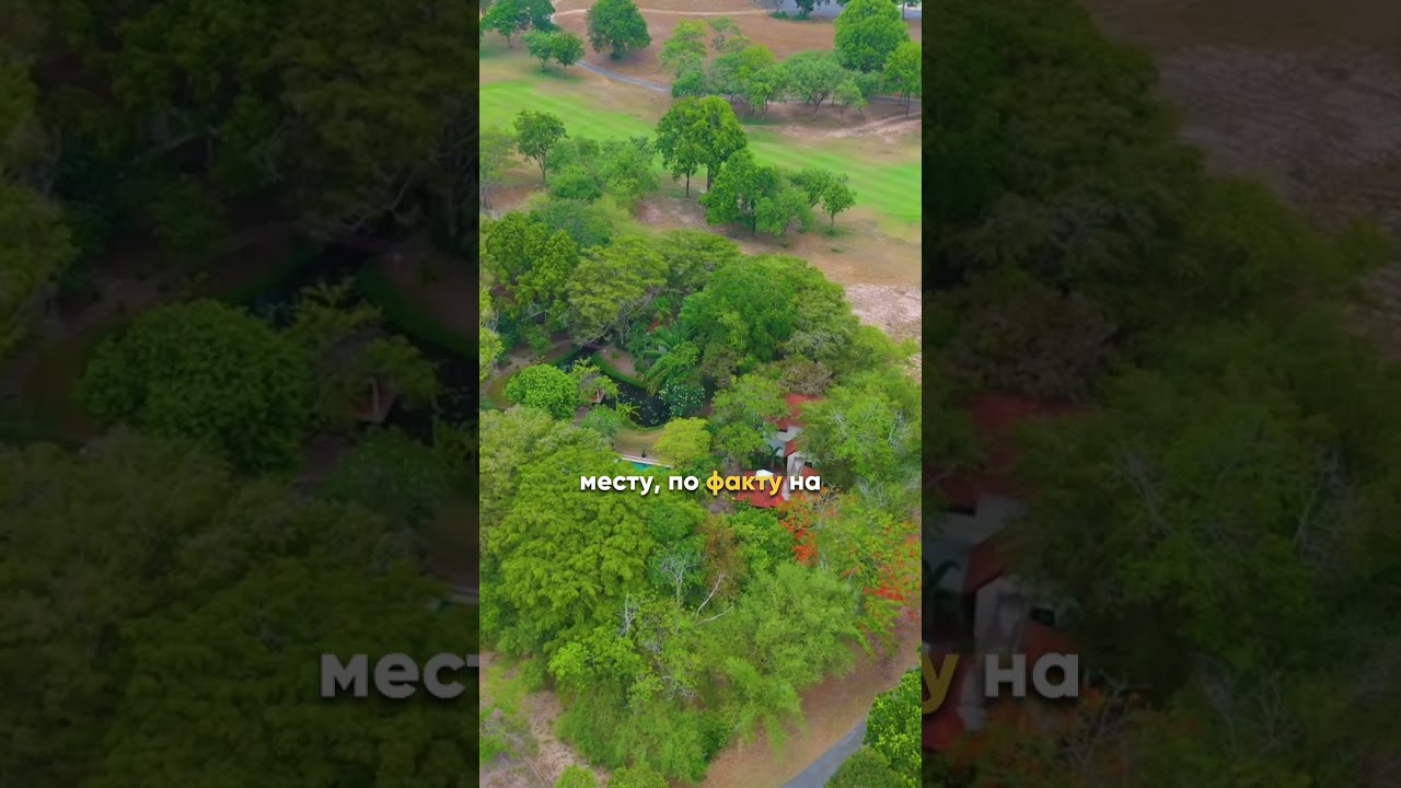 Виллы в гольф-клубе! Готовый бизнес в Таиланде! Phoenix Golf Club 