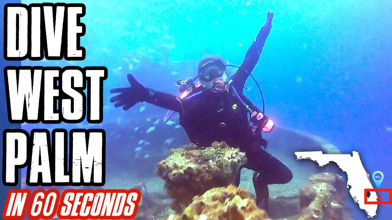 West Palm Beach, FL area scuba dive briefing 1 minute orientation for