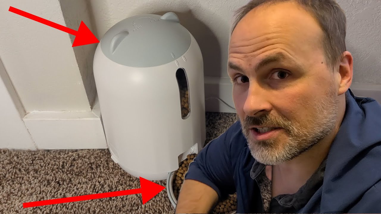 Automatic Cat Feeder for Multiple Cats by Papifeed