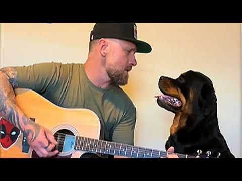 This 130lb Rottweiler REFUSES to Let Him Out of His Sight — He Finally Understood Why at 3AM