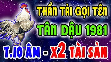 Cả Năm Chờ Mỗi Tháng Này! Tân Dậu 1981 Được Thần Tài Gõ Cửa Tài Lộc Bùng Nổ Bất Ngờ Tháng 10 Âm