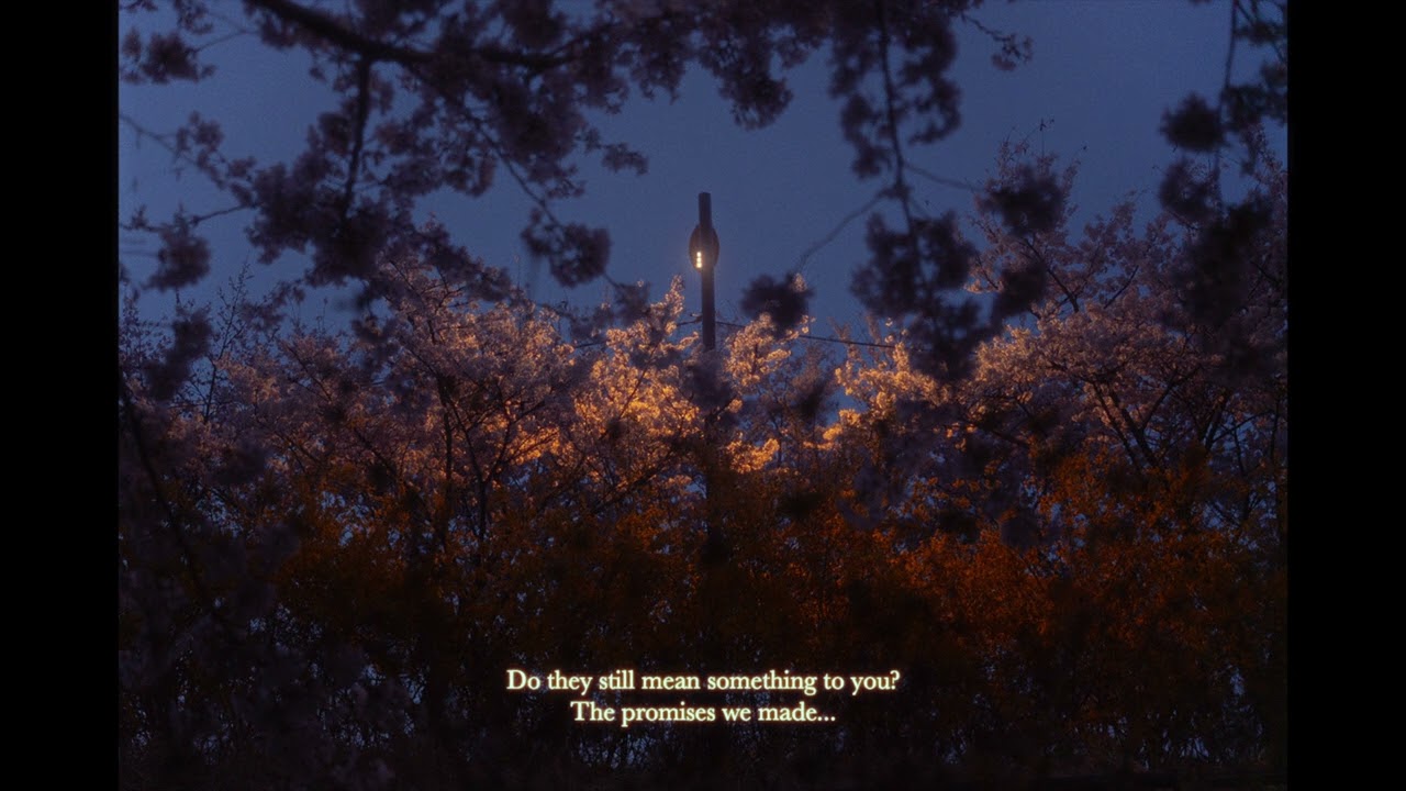 Our promises