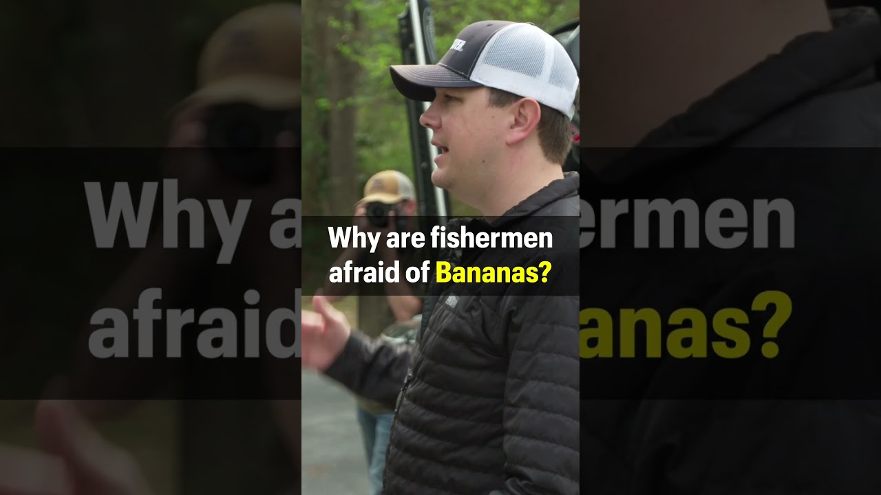 The truth about bananas in the boat. 