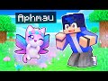 Playing Minecraft as a Magical FAIRY Kitten!
