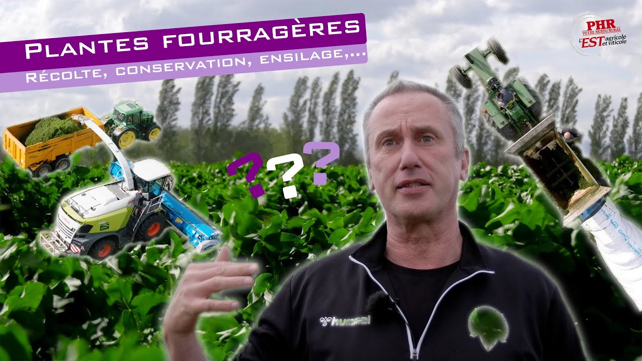 L'autonomie protéique en élevage : la luzerne et le trèfle en alternative au soja ?