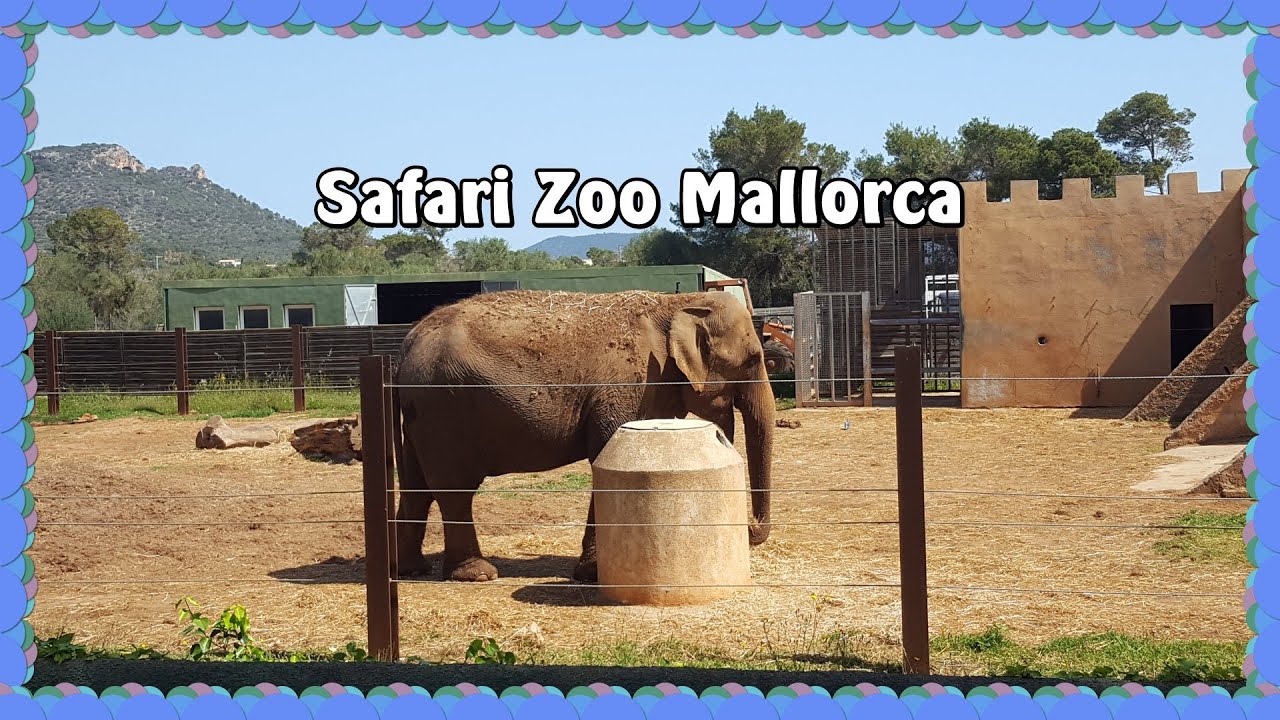 zoo safari park mallorca