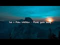 Sia X Alan Walker Move Your Body Slowed Reveb 