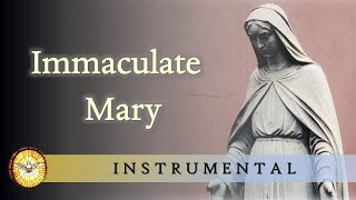 Immaculate Mary (Ave Ave Maria)  |  INSTRUMENTAL  |  Lourdes Hymn  |  Catholic Marian Hymn
