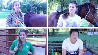 Types of Equestrians + FLIES  | Parody