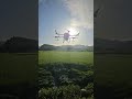 ドローンで水稲肥料散布🌾スマート農業