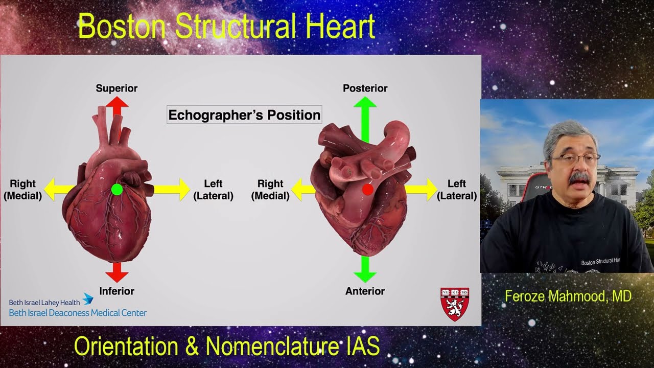 Transeptal Puncture - Nomenclature and Technique
