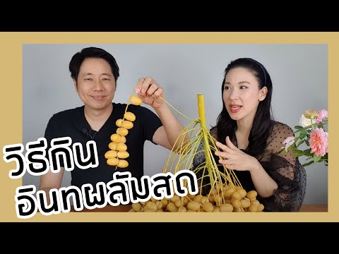 วีดีโอ: การบำรุงรักษาพลัมของอวาลอน – วิธีการปลูกพลัมขนมหวานของอวาลอน