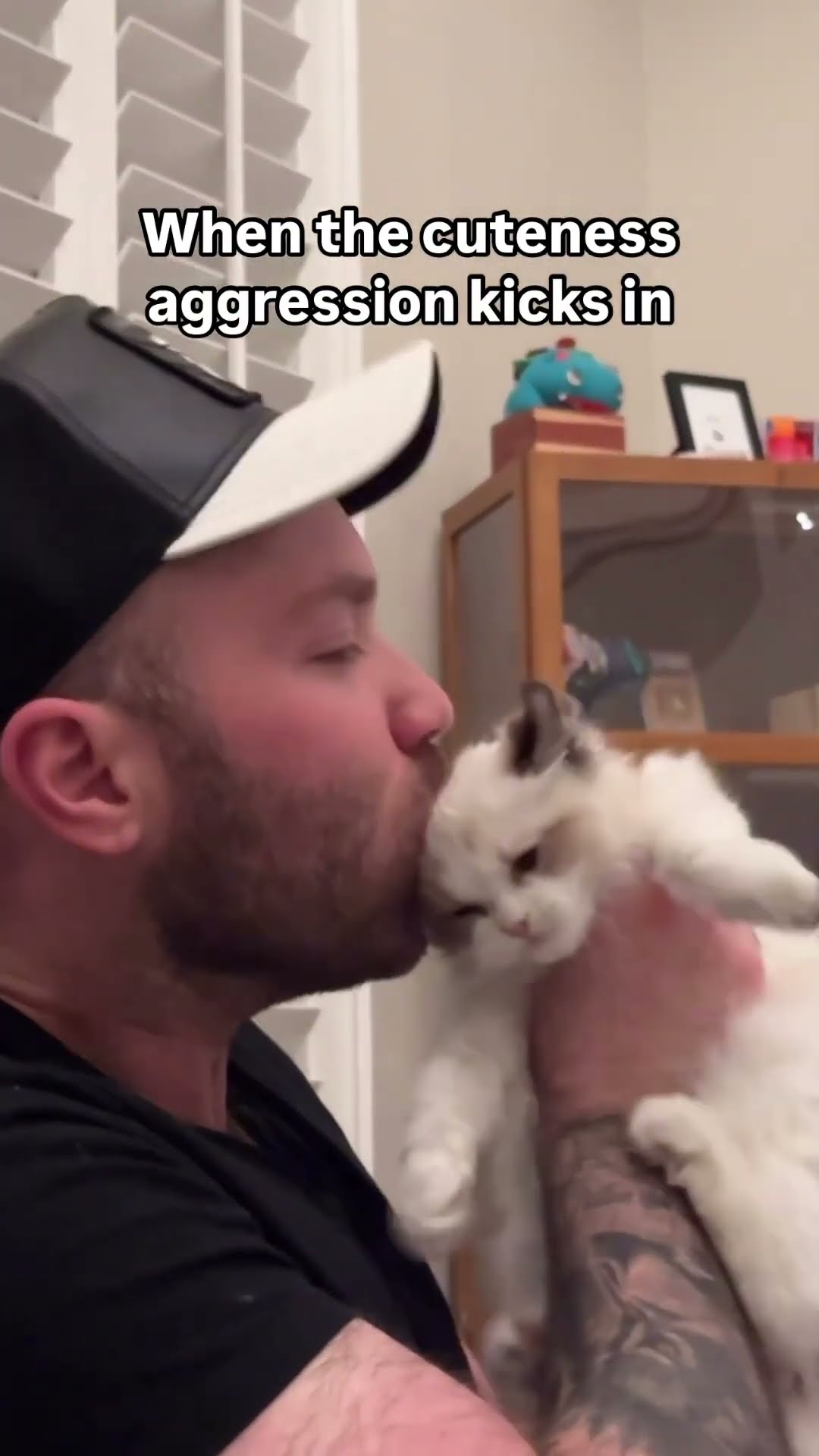 I love this kitten so much