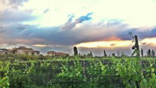 Algodon Wine Estates - Property Views & Recent Home Construction