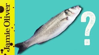 How To Buy The Best Fish | 1 Minute Tips | Bart’s Fish Tales