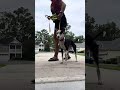 Loose leash walking- 10 steps for STAR Puppy
