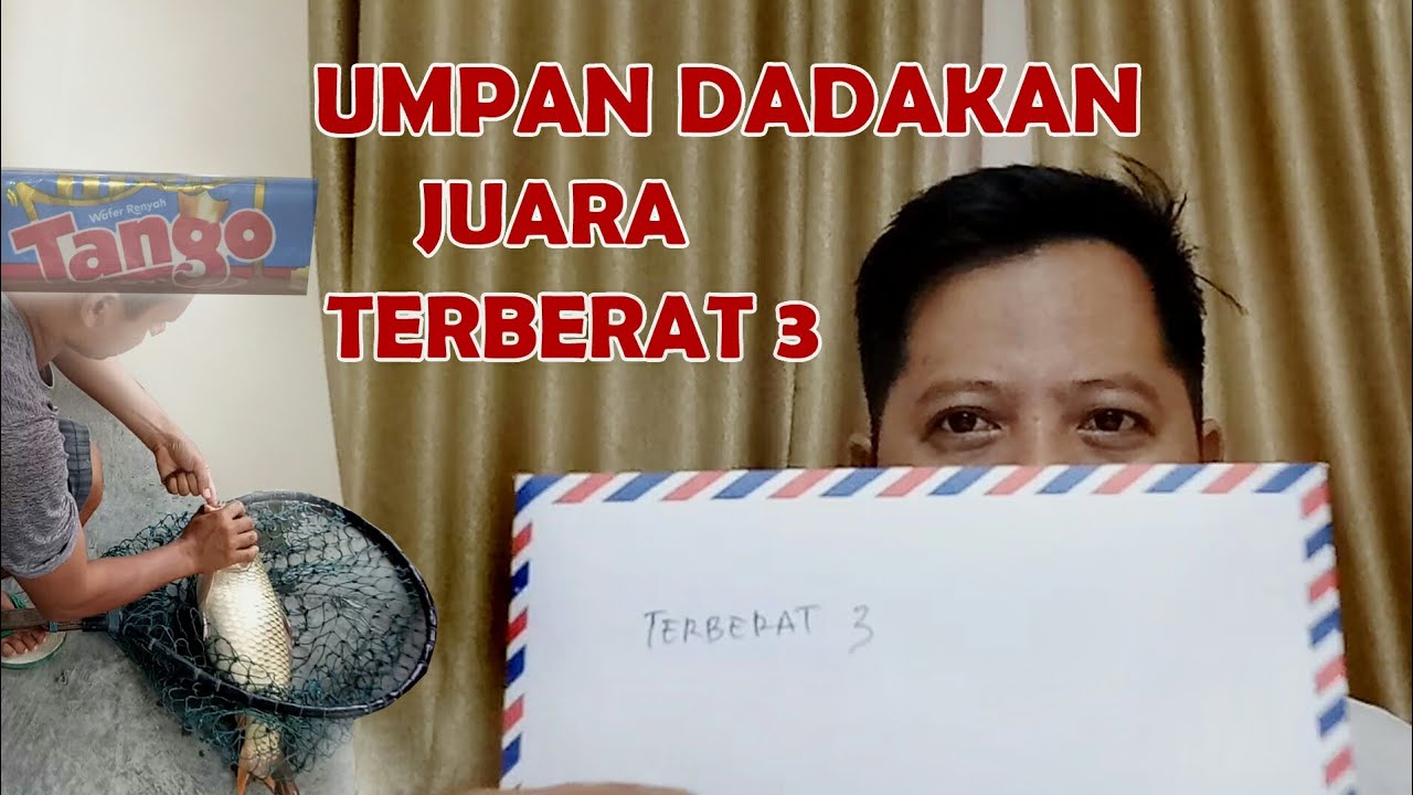 UMPAN IKAN MAS DADAKAN DAPET JUARA | klo sudah rezeki gak akan kemana