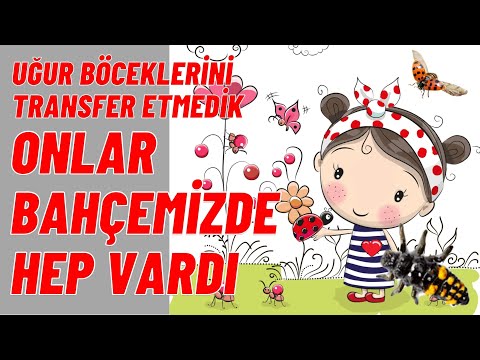 Video: Uğur Böceklerini Çekmek: Bahçedeki Uğur Böceklerini Teşvik Etmek