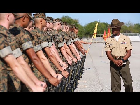 Estándares De Peso Y Grasa Corporal Para Reclutas Del Cuerpo De Marines