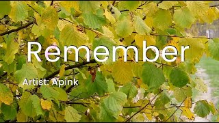 [KARAOKE] Remember - Apink | Queen V Karaoke