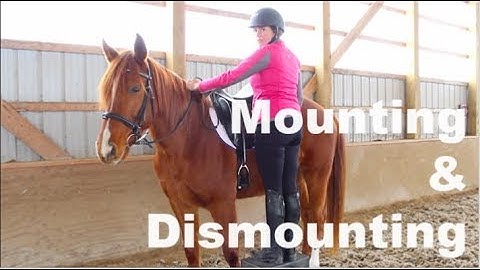Mounting & Dismounting