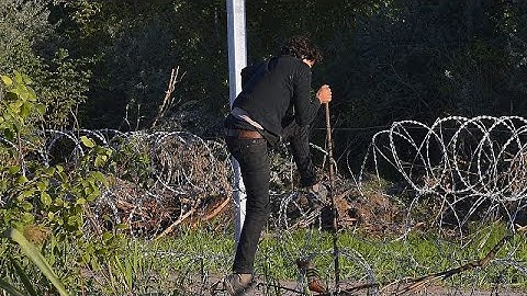 Biometrikus adatokat is regisztrálnak Tompánál, majd a többi magyar-szerb határátkelőknél