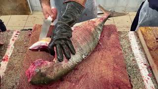 Big Fish Fillet Amazing Skills|| Great Skills of Fish Fillet|| Fish Filleting Oman Master