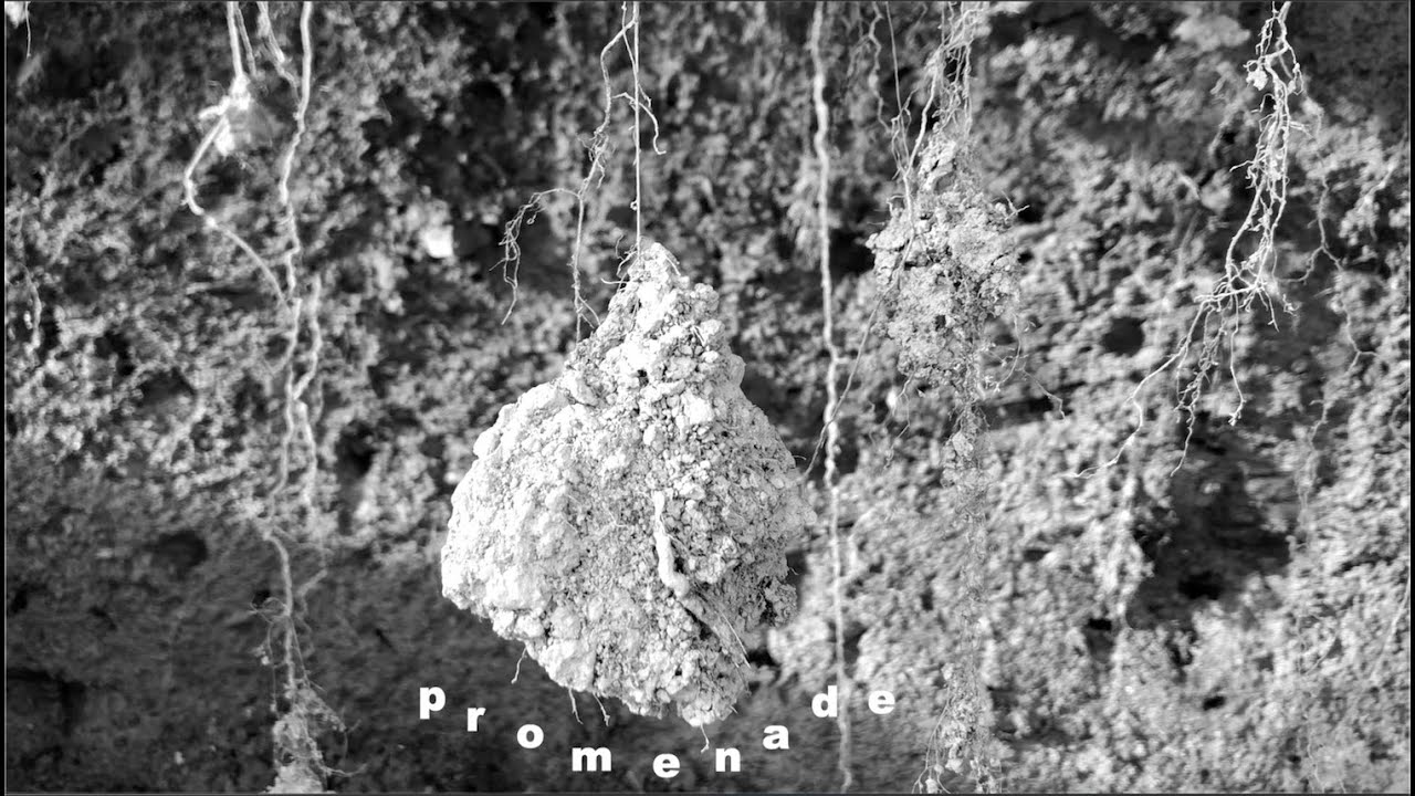 EinKa - Promenade - Official Video