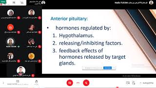 Pathology of endocrine system. lec1