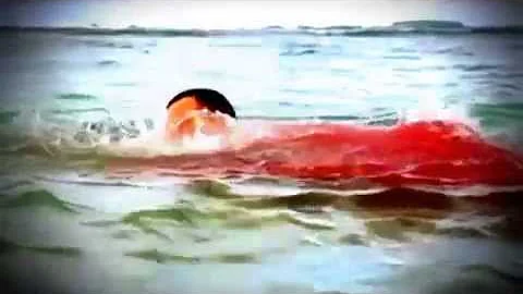 Porque o tubarão ataca os surfistas?
