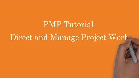 13. PMP | Direct and manage project work process