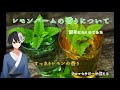 レモンバームの香りについて【解説】