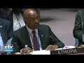 Remarks made by Dr. Eng. Sileshi Bekele, at the UNSC on the issue of GERD