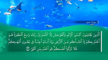 تحسين ابراهيم دوسكي - تەفسیرا سورة النجم