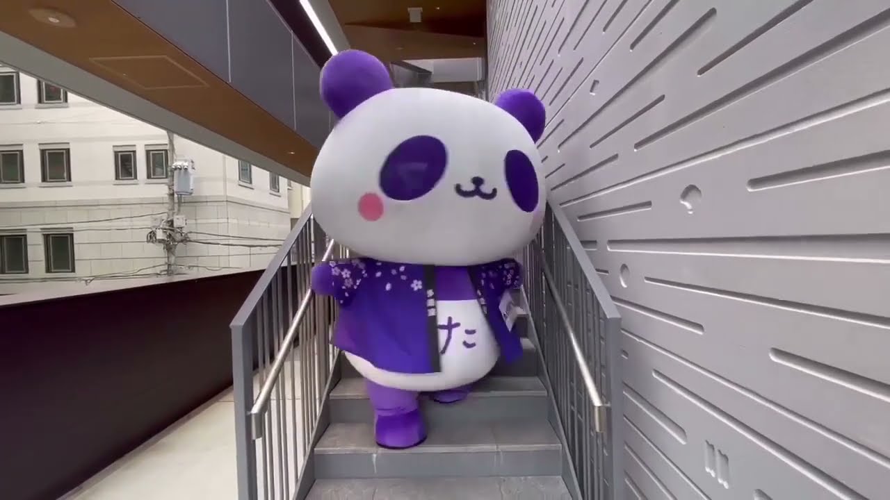 ぱーぷるぱんだ様 多慶屋で踊っている紫色パンダ！？「たけぱん・Takepan」 - YouTube