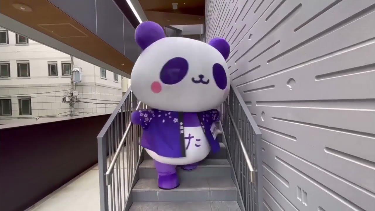 多慶屋で踊っている紫色パンダ!?「たけぱん・Takepan」 YouTube