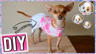 HAZ ROPA TU PERRITO - FACIL - YouTube