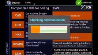 carly for bmw bmwhat coding options