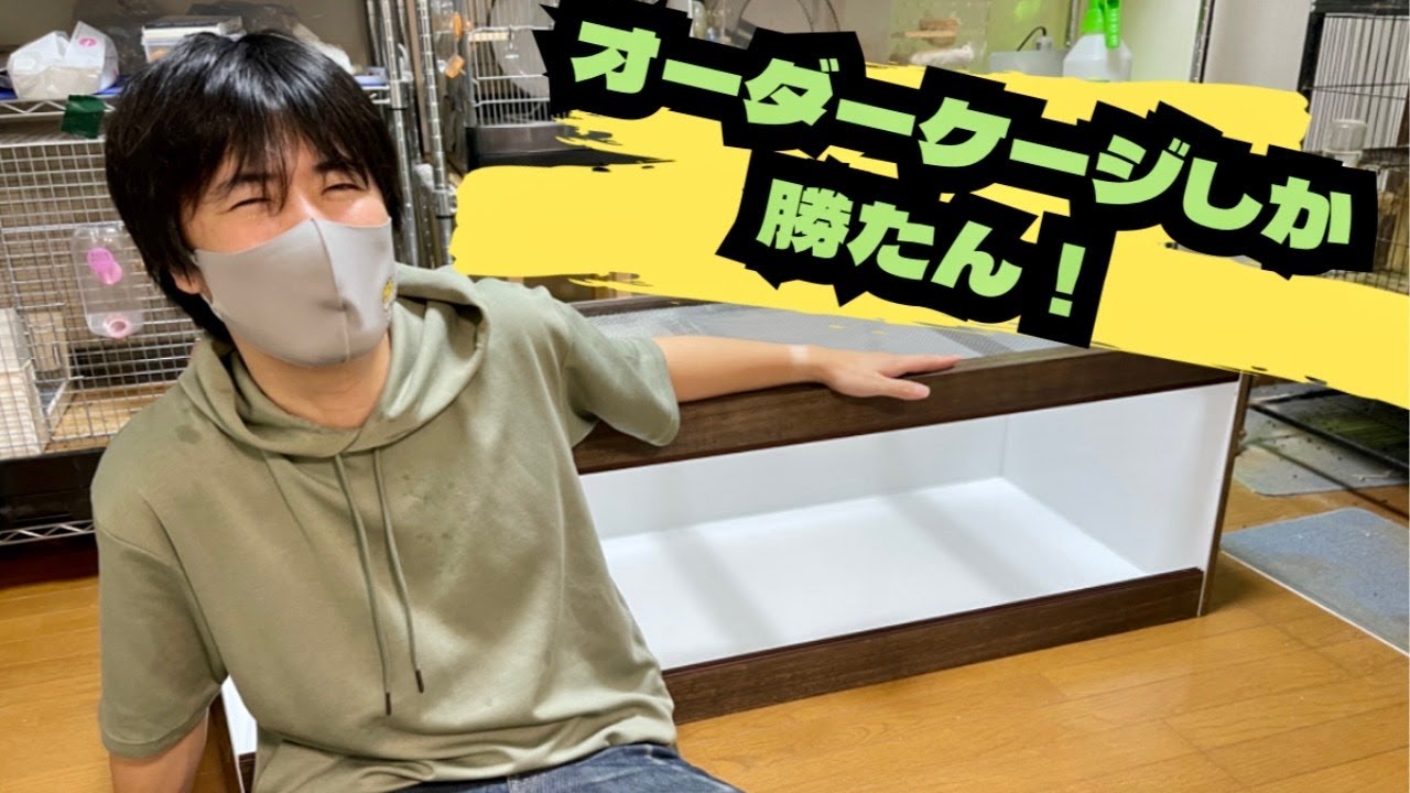 巨大】オーダーケージしか勝たん！！【紹介】 - YouTube