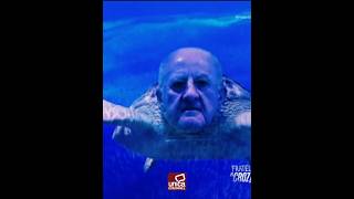 De Luca è la Caretta caretta della politica, è eterno