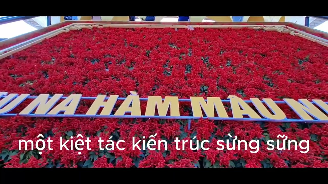 🏔️ NÚI BÀ ĐEN: HÀNH TRÌNH CHẠM VÀO HUYỀN THOẠI & NHỮNG KỶ LỤC THẾ GIỚI 🏔️