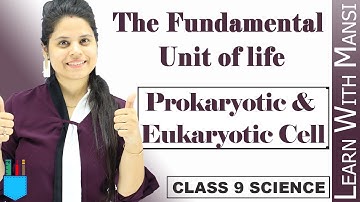 Prokaryotic & Eukaryotic Cell | Chapter 5 | The Fundamental unit Of Life | Class 9 Science