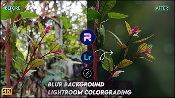 Blur Image Background | Mobile Photo Editing Tutorial | Lightroom Color Grading | PhotoRoom Editing