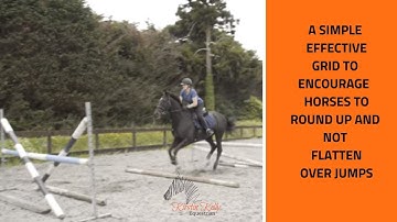 Show jumping grid work to improve your horses jump with Kirstin Kelly