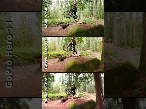 SlowMo Showdown: best